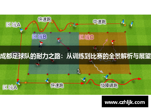 成都足球队的耐力之路：从训练到比赛的全景解析与展望