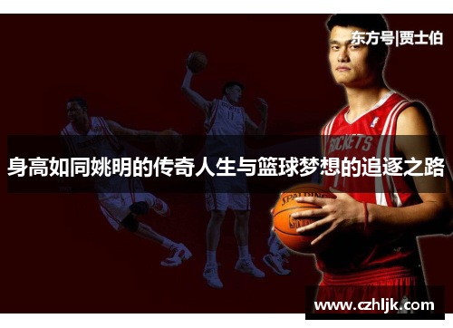 身高如同姚明的传奇人生与篮球梦想的追逐之路